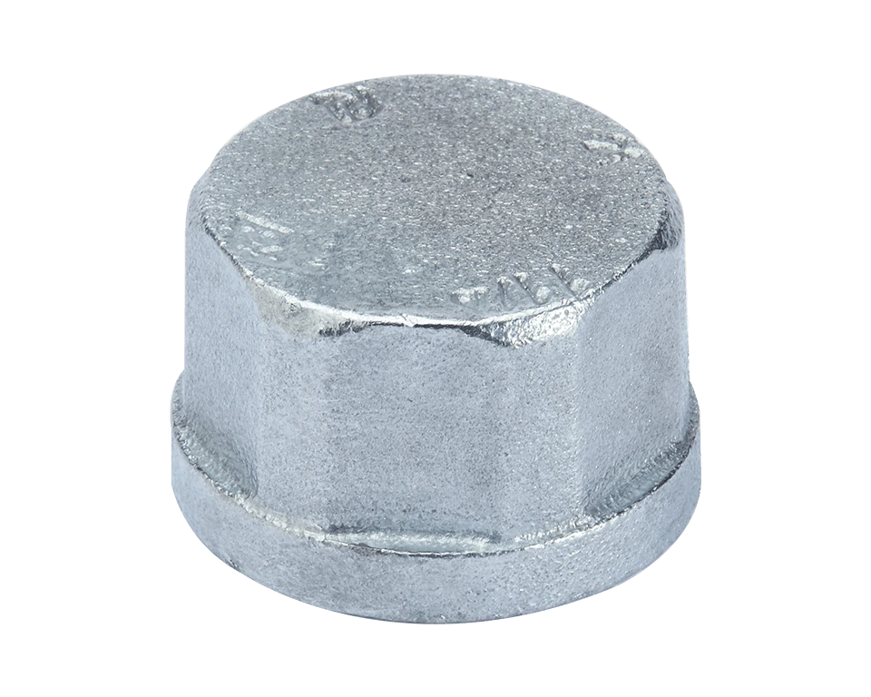 EKPAŞ İç Dişli Kapak Tapa galvaniz ürün görseli